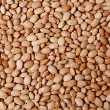 Oloyin Beans (half Derica)