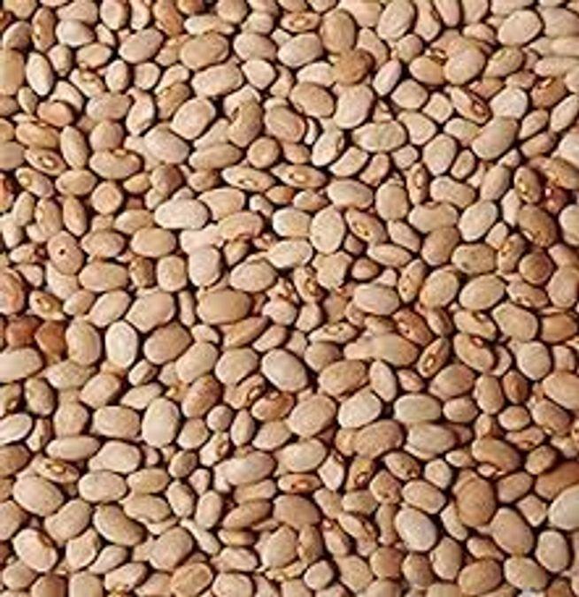 Olo drum beans (derica)