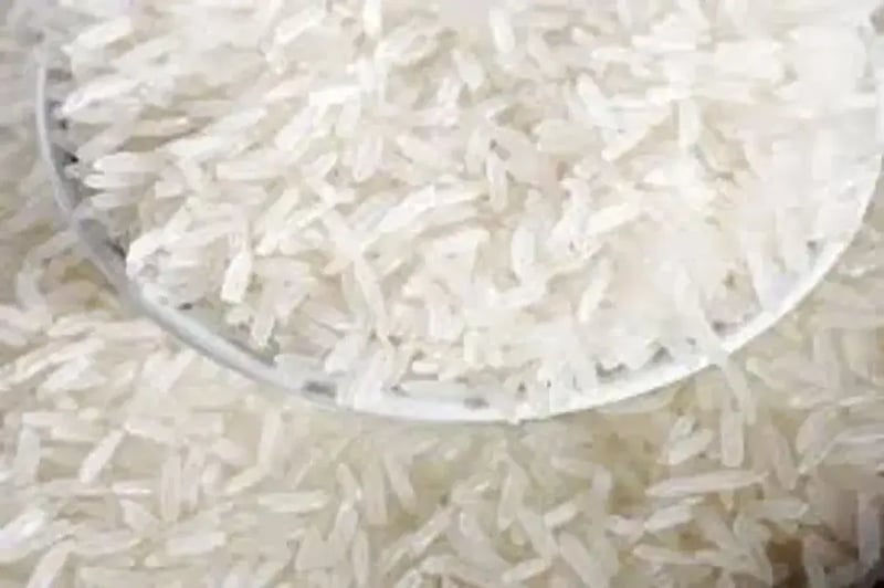 Rice (Short grain) Paint