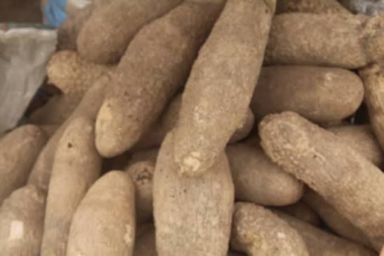 Yam (big)