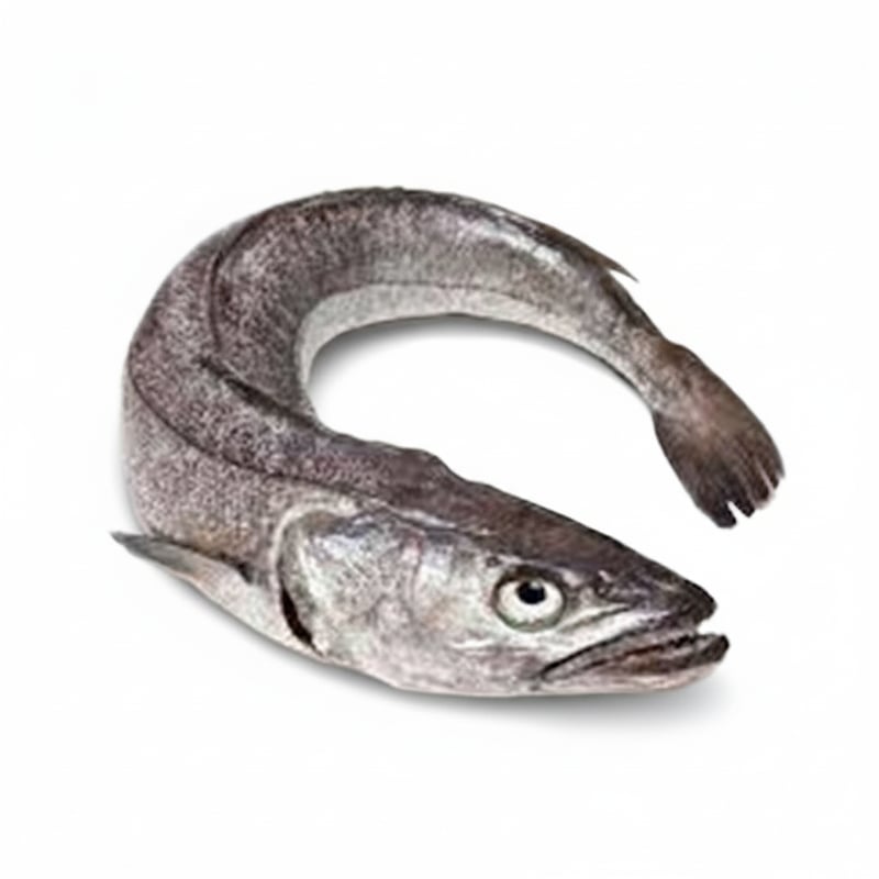 Frozen Panla Fish (Hake Fish) (1 kg)