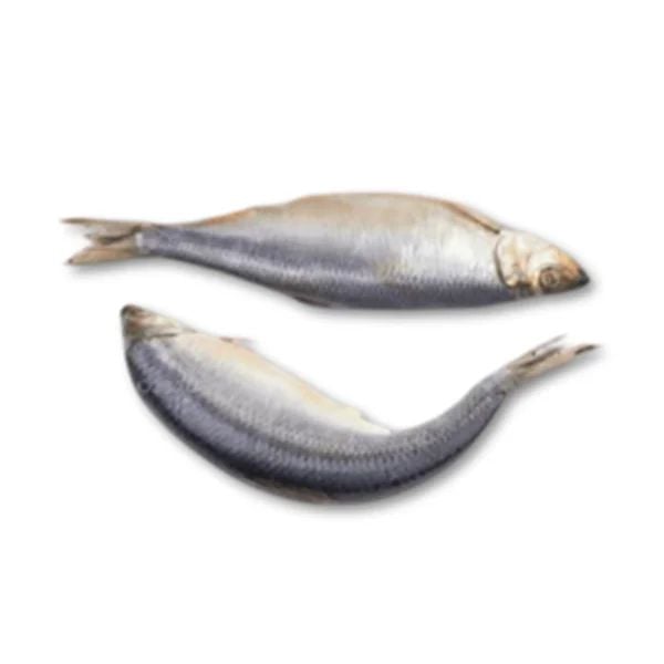 Frozen Shawa (Herring ) Fish (0.5)kg