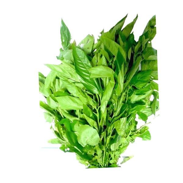Ewedu leaf