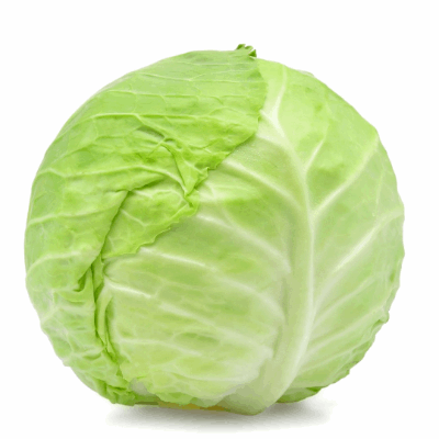 Cabbage (small)