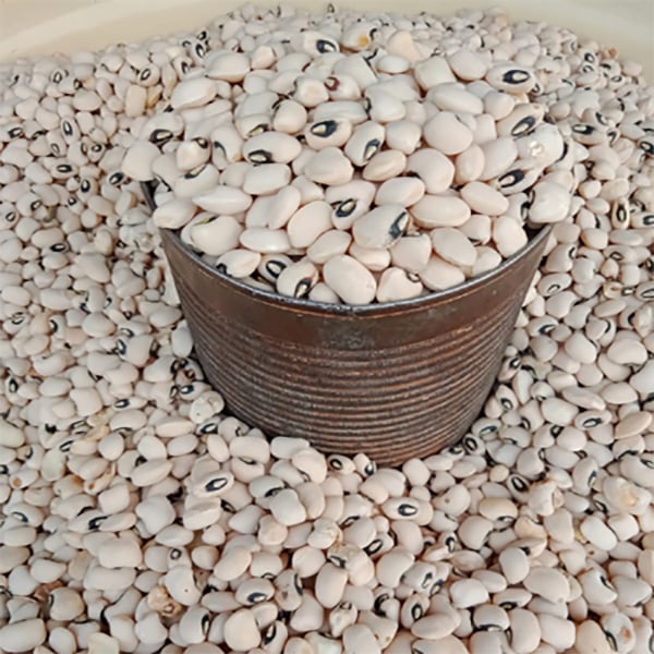 White Beans (De rica)