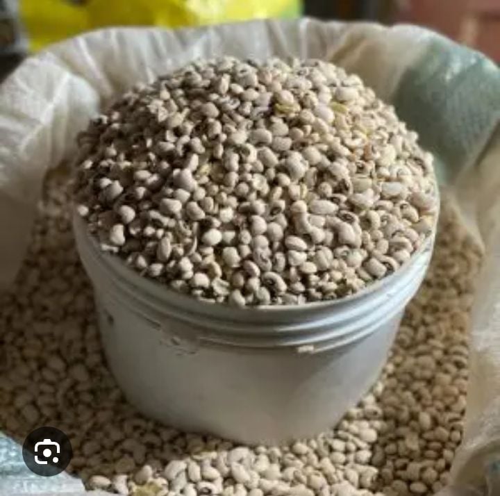White beans (paint)