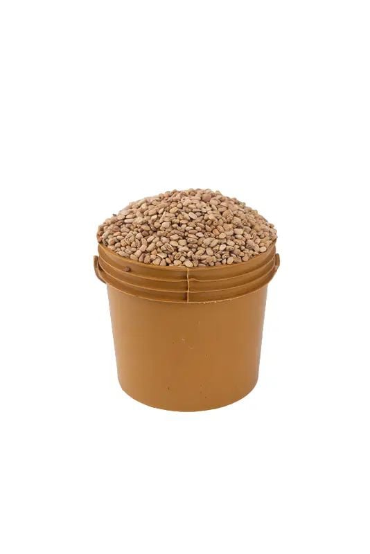 Olo (drum) beans - Paint