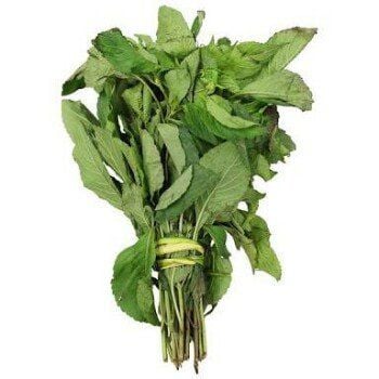 Scent leaves 