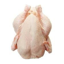 Full chicken 