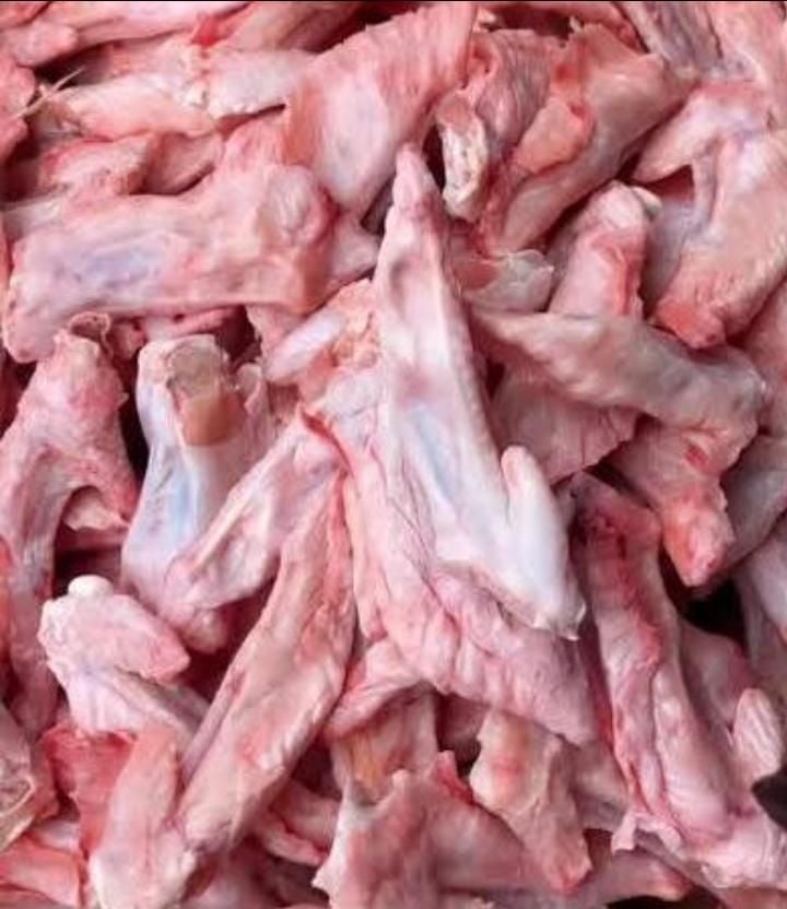 Finger