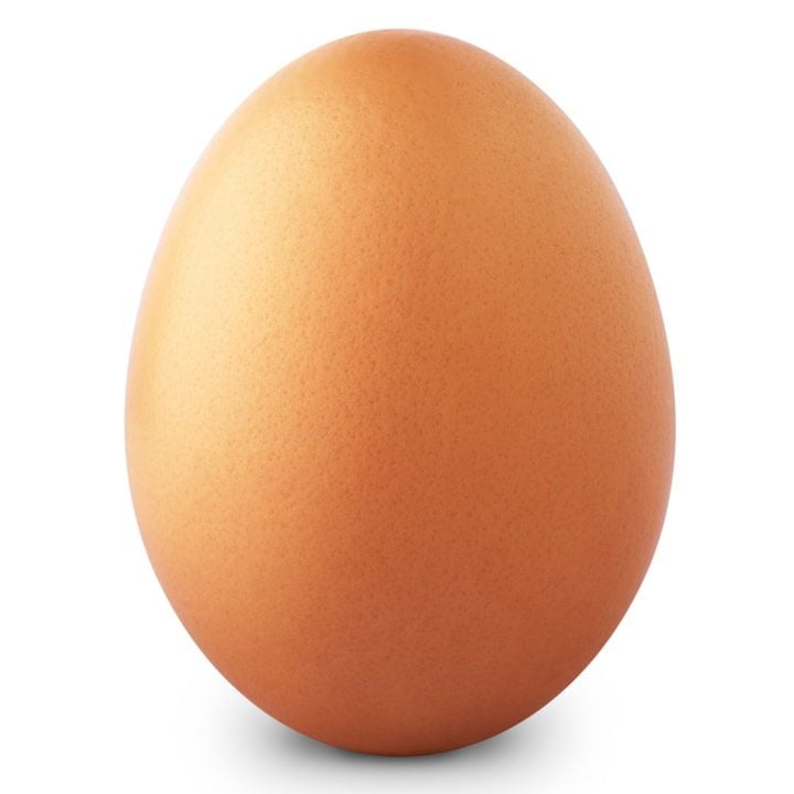 Egg